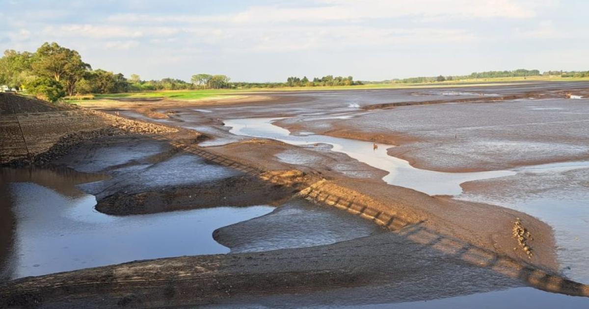 Uruguay faces worst drought in its history Montevideo in danger of ...