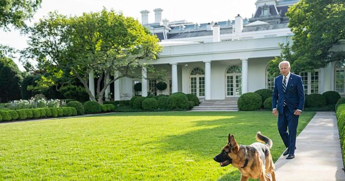 Biden's Dog Commander Bites Another Secret Service Agent