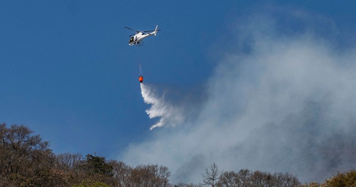 Incendios Forestales En México El Fuego Arrasa Más De 7 000 Acres En