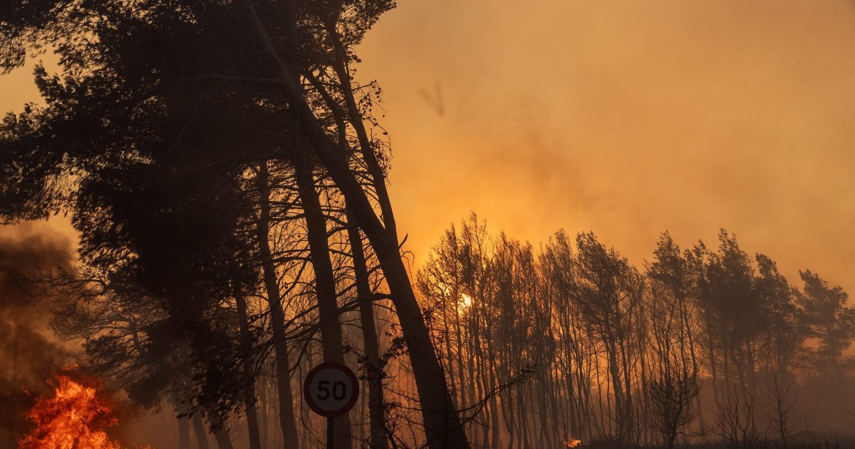 Forest fires force thousands of residents near Athens to evacuate