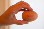 A stock image of the sell-by date on an egg. Sell-by dates on food labels are to be removed in a bid to help cut down the £12billion worth of good food which ends up in the bin each year.