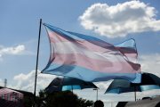 Imagen de la bandera trans