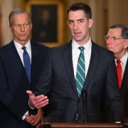 El senador estadounidense Tom Cotton, republicano de Arkansas.