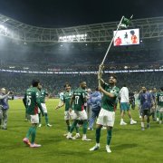 palmeiras