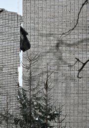 Vista del lugar donde se derrumbó el edificio de la policía militar en los terrenos de una base militar en Sertolovo