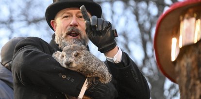 Punxsutawney Phil