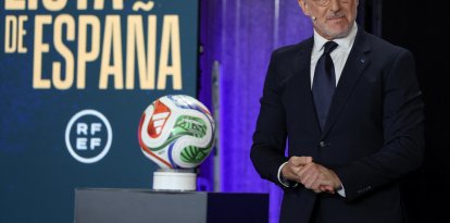 El entrenador de la selección española, Luis de la Fuente