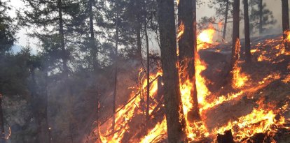 En esta fotografía facilitada por el Servicio Forestal de EEUU el 25 de agosto de 2015 se muestra el incendio de Carpenter Road en la reserva india de Spokane, cerca de Wellpinit, en el estado de Washington. A fecha de 25 de agosto, el incendio de Carpenter Road abarca 37 132 acres (15 026 hectáreas) y está controlado en un 20 %.  FOTO DE AFP / CEDIDA / SERVICIO FORESTAL DE EE. UU.      == USO EXCLUSIVAMENTE EDITORIAL / CRÉDITO OBLIGATORIO: «FOTO DE AFP / CEDIDA / SERVICIO FORESTAL DE EE. UU.» / PROHIBIDO SU USO CON FINES COMERCIALES O EN CAMPAÑAS PUBLICITARIAS / DISTRIBUIDA COMO SERVICIO A LOS CLIENTES