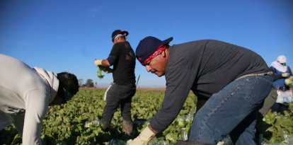 Hispanic workers in California, in a file photo.