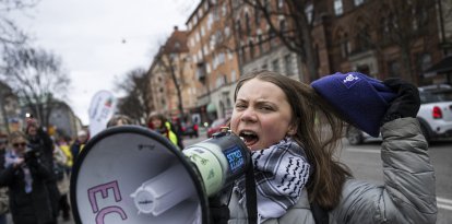 Cambio climático: La joven Greta Thunberg se convirtió en una abanderada del activismo climático