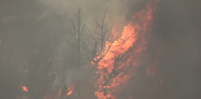 - Flames engulf trees during a forest fire near the central Israeli town of Bet Shemesh