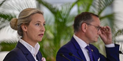 Alice Weidel y Tino Chrupalla