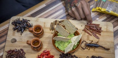 Insectos servidos como aperitivo