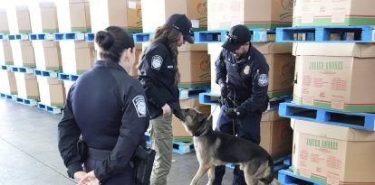 Kristi Noem junto a agentes de la CBP (Archivo)