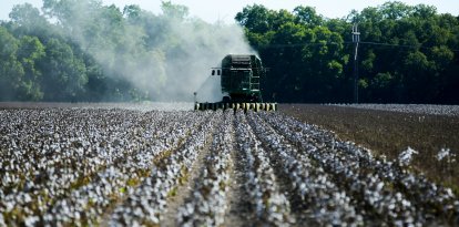 Se ve algodón en un campo mientras los agricultores recogen la cosecha de un campo de 140 acres en el condado de Ellis, cerca de Waxahatchie, Texas, el 19 de septiembre de 2022.