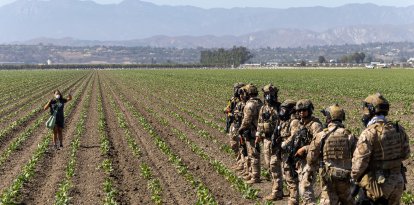 Agentes migratorios irrumpen en granja; mujer levanta las manos.