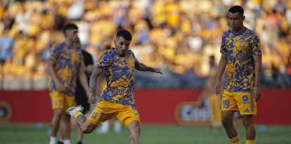Angel Correa