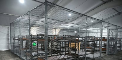 ALLIGATOR_ALCATRAZ