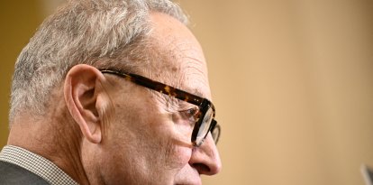 Chuck Schumer en el Congreso/ Brendan Smialowski