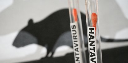 Ilustración de un concepto de prueba de hantavirus con tubos de laboratorio (Archivo)