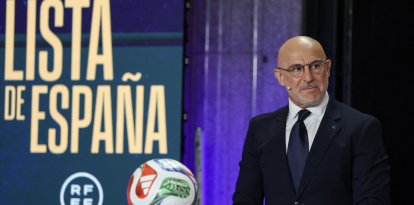 El entrenador de la selección española, Luis de la Fuente