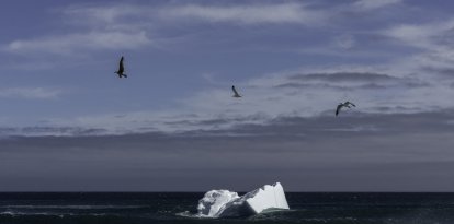 Un iceberg flota en las aguas del océano Atlántico