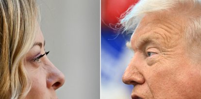 giorgia meloni donald trump