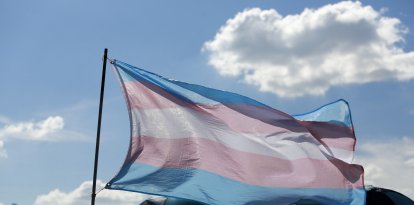 Imagen de la bandera trans