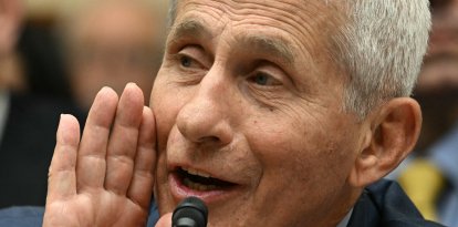 Anthony Fauci, en 2024.