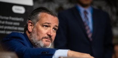 Ted Cruz en el Senado/ Allison Bailey