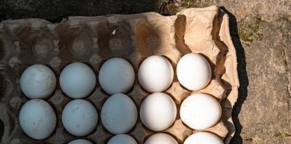 Docena de huevos-Imagen de Archivo