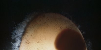 Biología y embarazo en la mujer: bolsa amniótica que contiene un embrión humano (o feto) (silueta) en la undécima semana de fecundación. Imagen médica (ecografía)