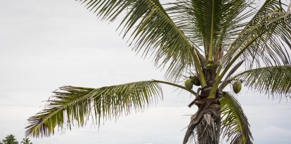 Nubes en el horizonte antes de la llegada del huracán Lane a Miloli'i, Hawái, en 2018