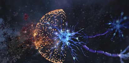 Neuroprotección, ilustración