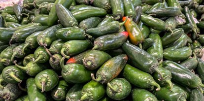 Se ven jalapeños mexicanos en un supermercado de Houston, Texas-Imagen de Archivo