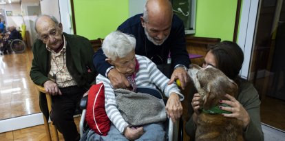 Una anciana de la residencia San Cipriano, en Soto de la Marina (Cantabria, España), acaricia a Miko el 16 de enero durante una de las visitas terapéuticas que la residencia incluye entre sus actividades.
