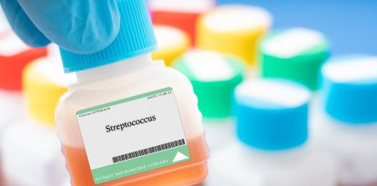 Bacterias Streptococcus (Imagen de archivo)