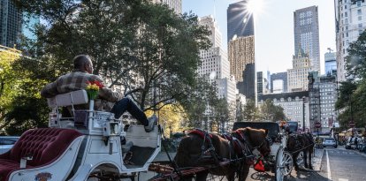 carruaje ny