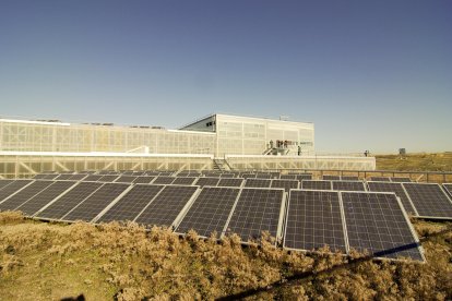 Paneles Solares