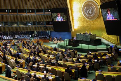 Asamblea General de la ONU