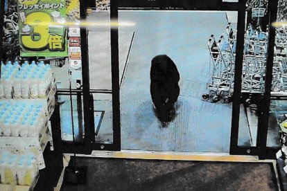 (FILES) This handout photo taken on October 7, 2025 and released by Gunma Prefectural Police via Jiji Press shows CCTV camera footage of a bear walking inside a supermarket in Numata, Gunma prefecture. Bears have killed a record seven people in Japan this year, the highest since 2006 when the survey started, an environment ministry official said October 16. (Photo by Handout / various sources / AFP) / Japan OUT / JAPAN OUT / JAPAN OUT / -----EDITORS NOTE --- RESTRICTED TO EDITORIAL USE - MANDATORY CREDIT "AFP PHOTO / GUNMA PREFECTURAL POLICE VIA JIJI PRESS" - NO MARKETING - NO ADVERTISING CAMPAIGNS - DISTRIBUTED AS A SERVICE TO CLIENTS