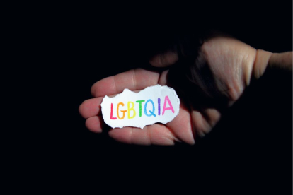 LGBTQ+ transgénero, gays