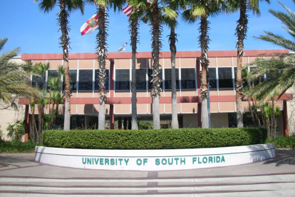 University of South Florida argues that there is a white supremacy in the U.S. that it seeks to eliminate through racial reeducation