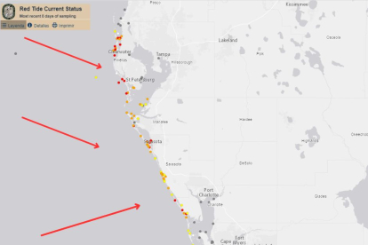 Una peligrosa "marea roja" tóxica llega a las playas de Florida antes de las vacaciones de primavera