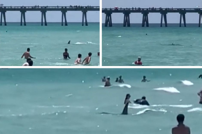 La presencia de un tiburón en Navarre Beach (Florida) provoca la evacuación de la playa.