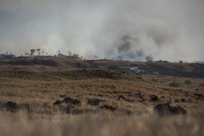 Los incendios forestales de Maui, entre los más mortíferos de la historia (Cordon Press)