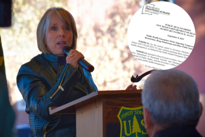 Michelle Lujan Grisham, armas Nuevo México