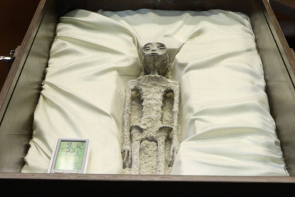 Imagen de un cuerpo extraterrestre presentado por Jaime Maussan en la Audiencia del Congreso de Ciudad de México el 12 de septiembre de 2023. Los usuarios dudan de la veracidad de los cuerpos extraterrestres.