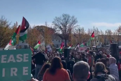 Marcha pro-Palestina