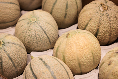 Los CDC advierten sobre un brote de salmonella vinculado al consumo de melones | (JOEL SAGET / AFP)